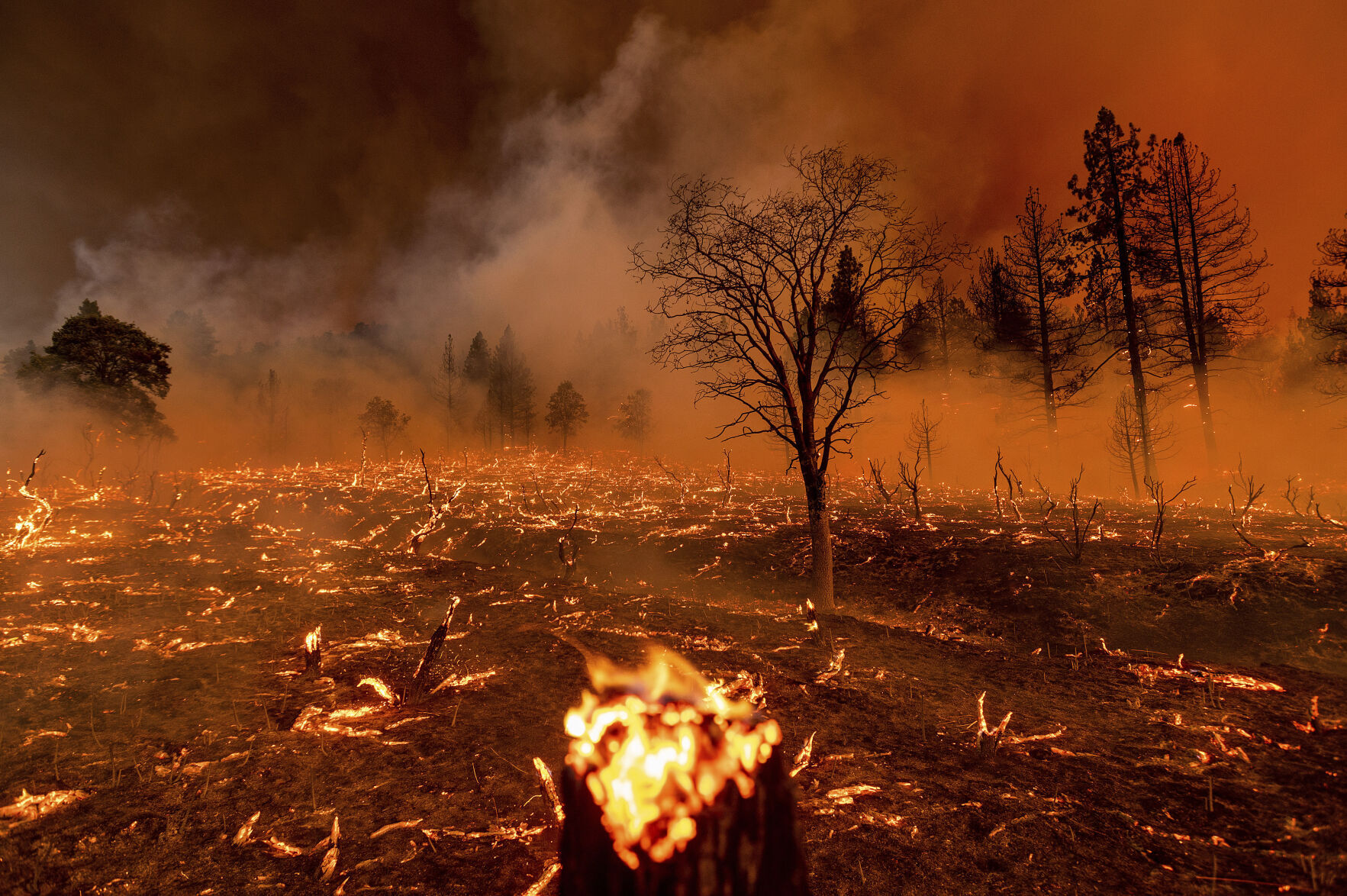 California Wildfires